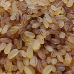 Chamba Rice ( Matta മട്ട Rice)
