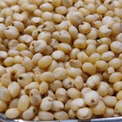 Jowar जोवारी 1 Kg