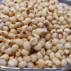 Solapuri Jowari जोवारी 1 Kg