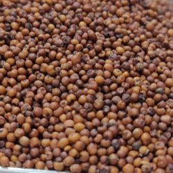 Ragi (Finger millet) கேழ்வரகு 1 Kg